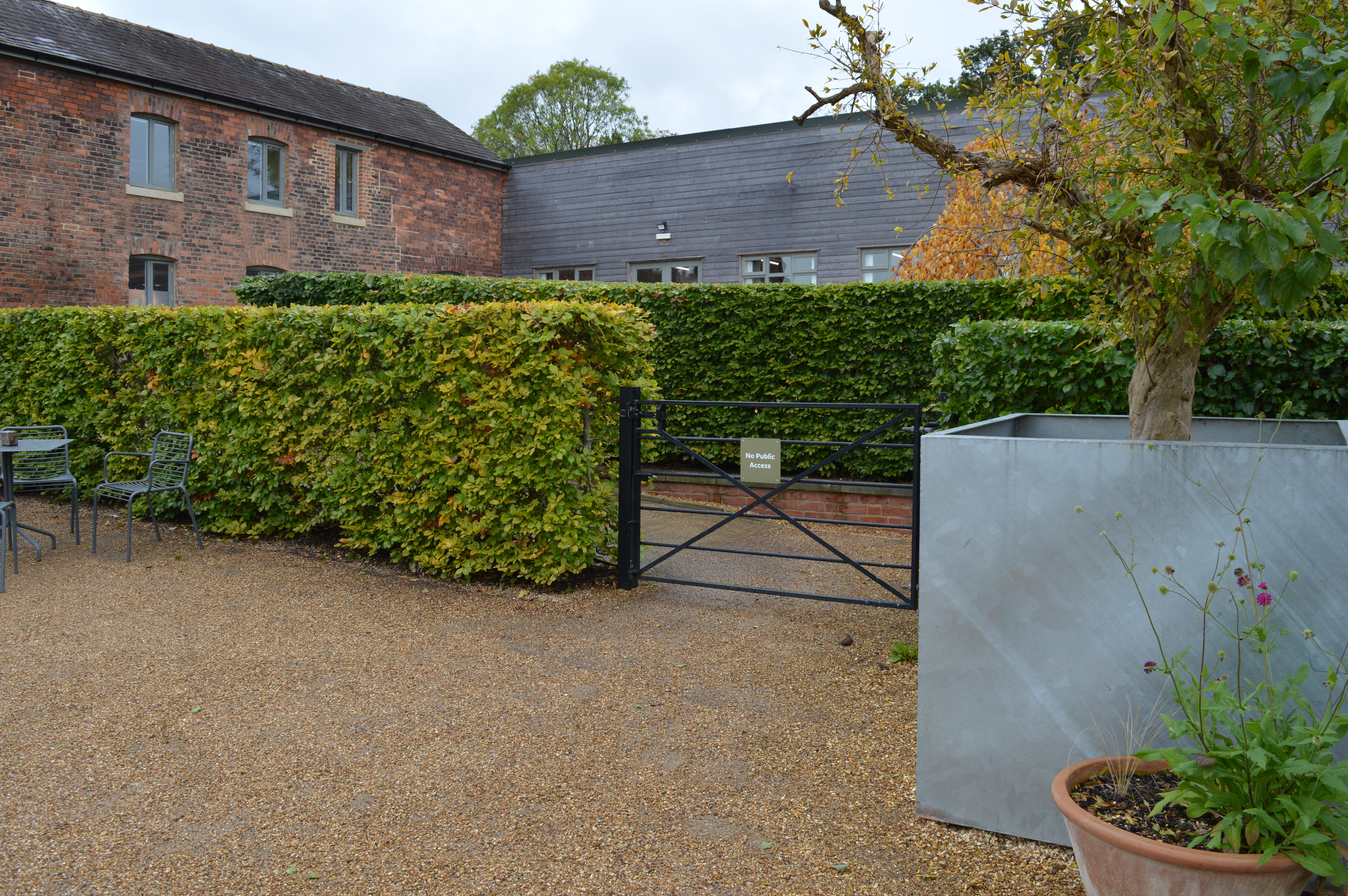 Beech Hedge Planting, RHS Bridgewater, Manchester