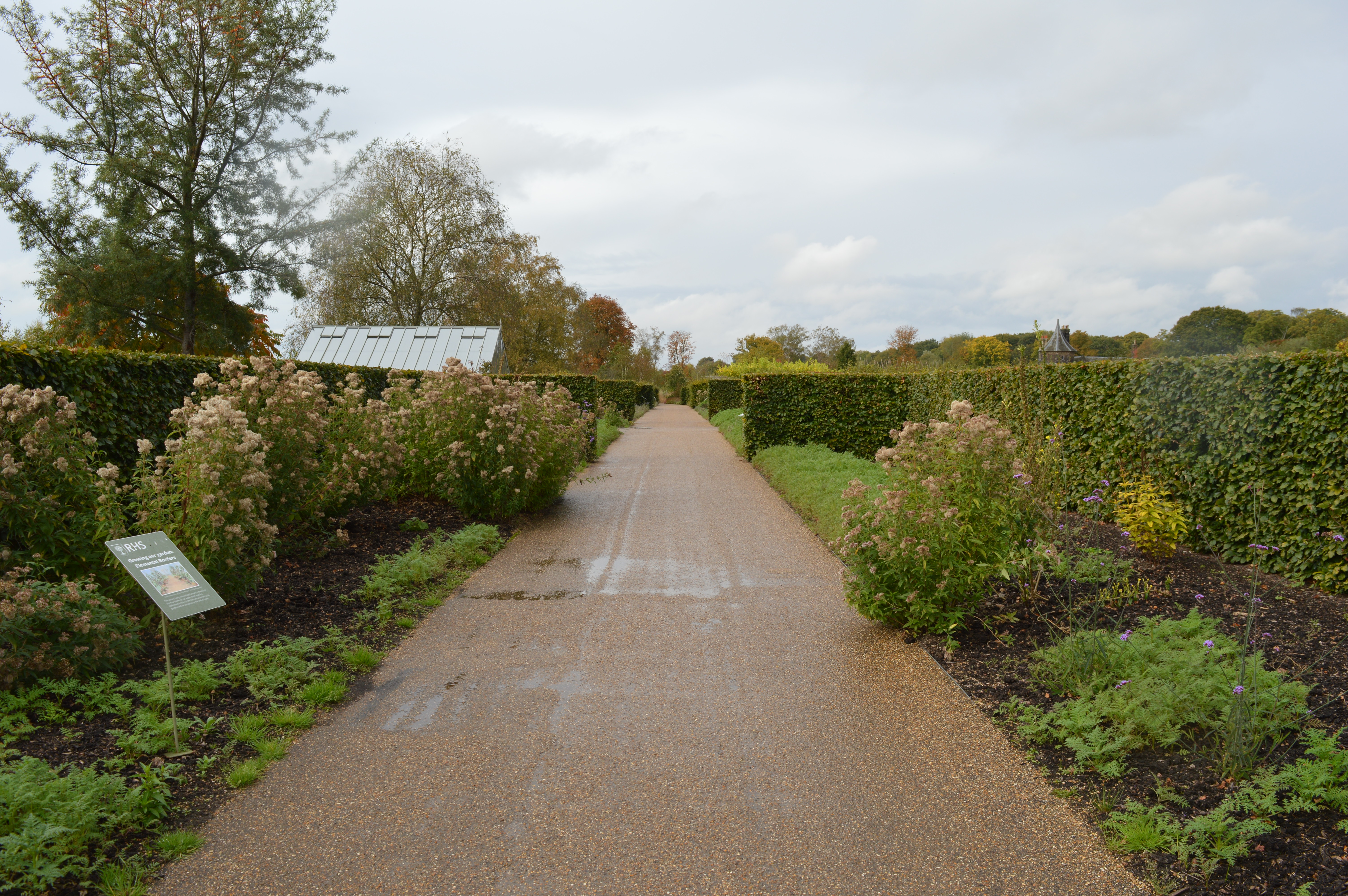 Beech Hedge Planting, RHS Bridgewater, Manchester