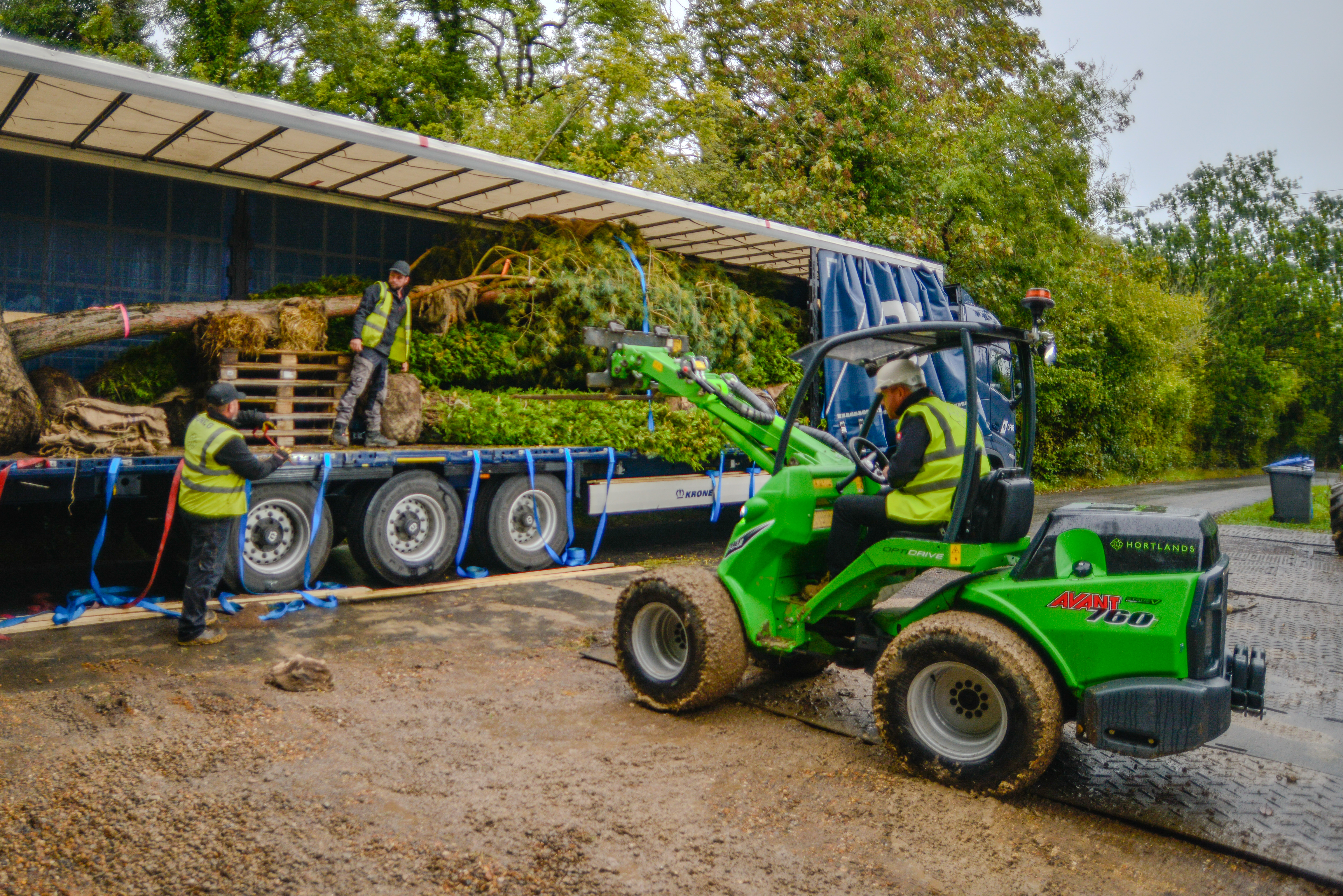 Large Tree and Instant Hedge Planting Berkshire