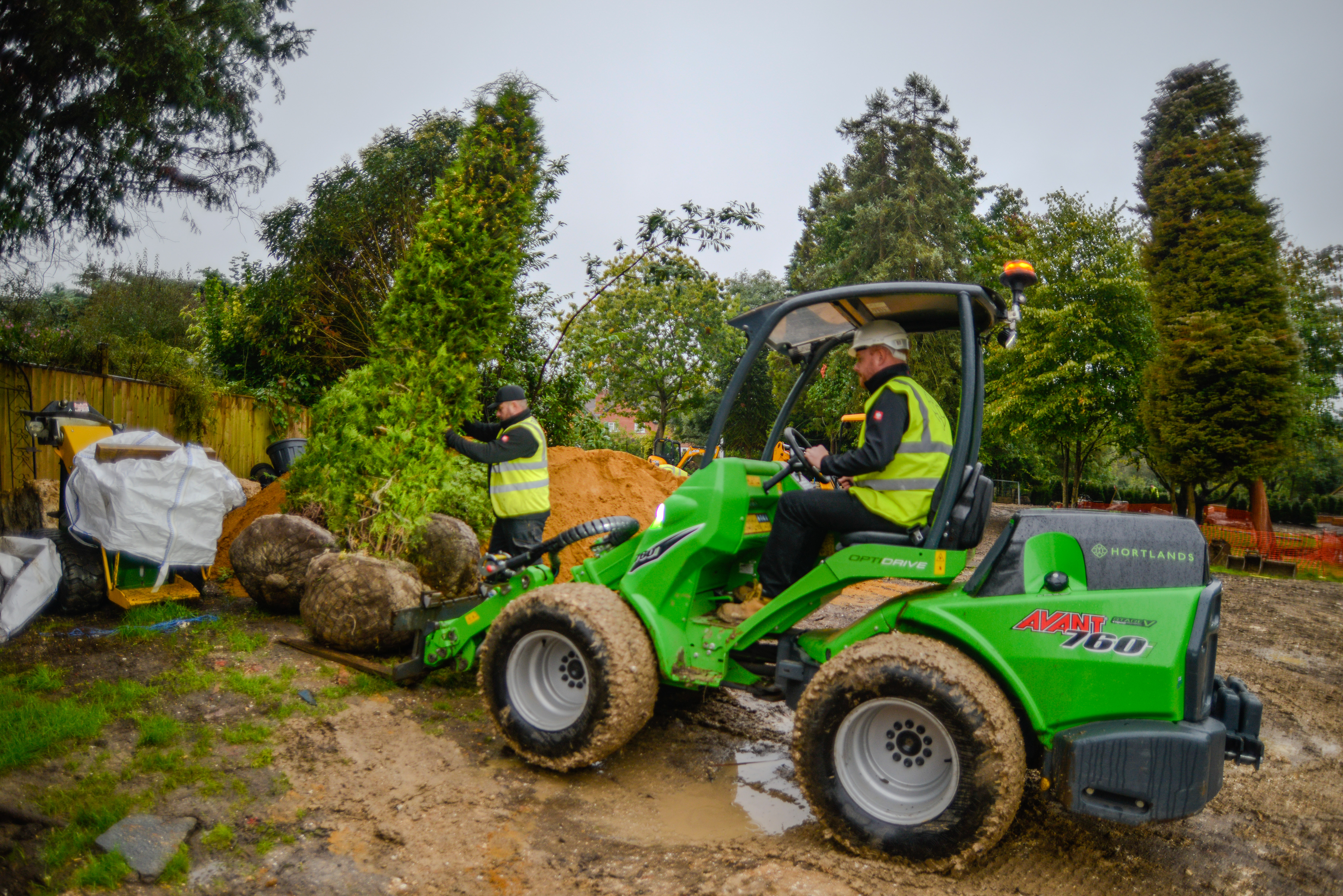 Large Tree and Instant Hedge Planting Berkshire