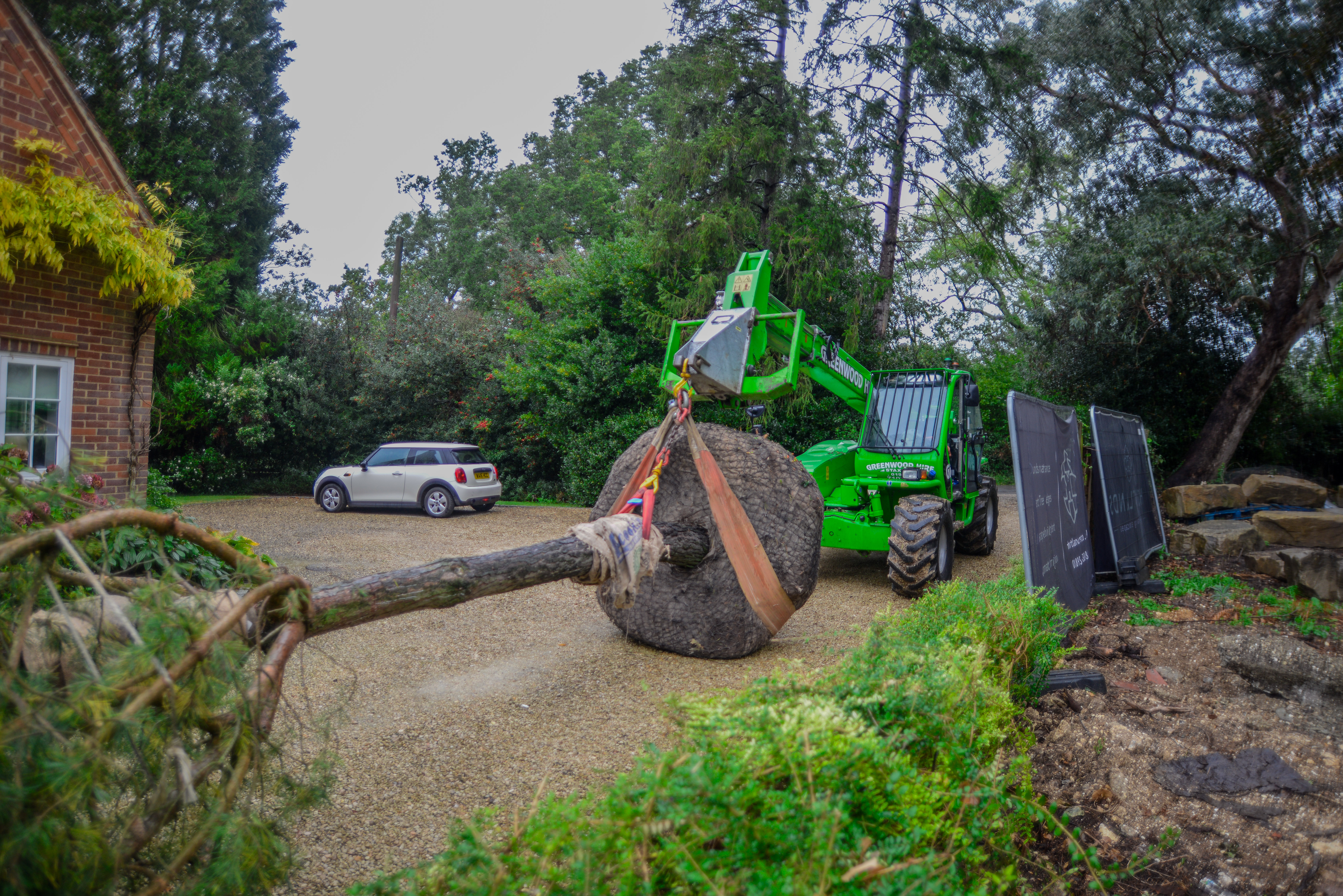 Large Tree and Instant Hedge Planting Berkshire