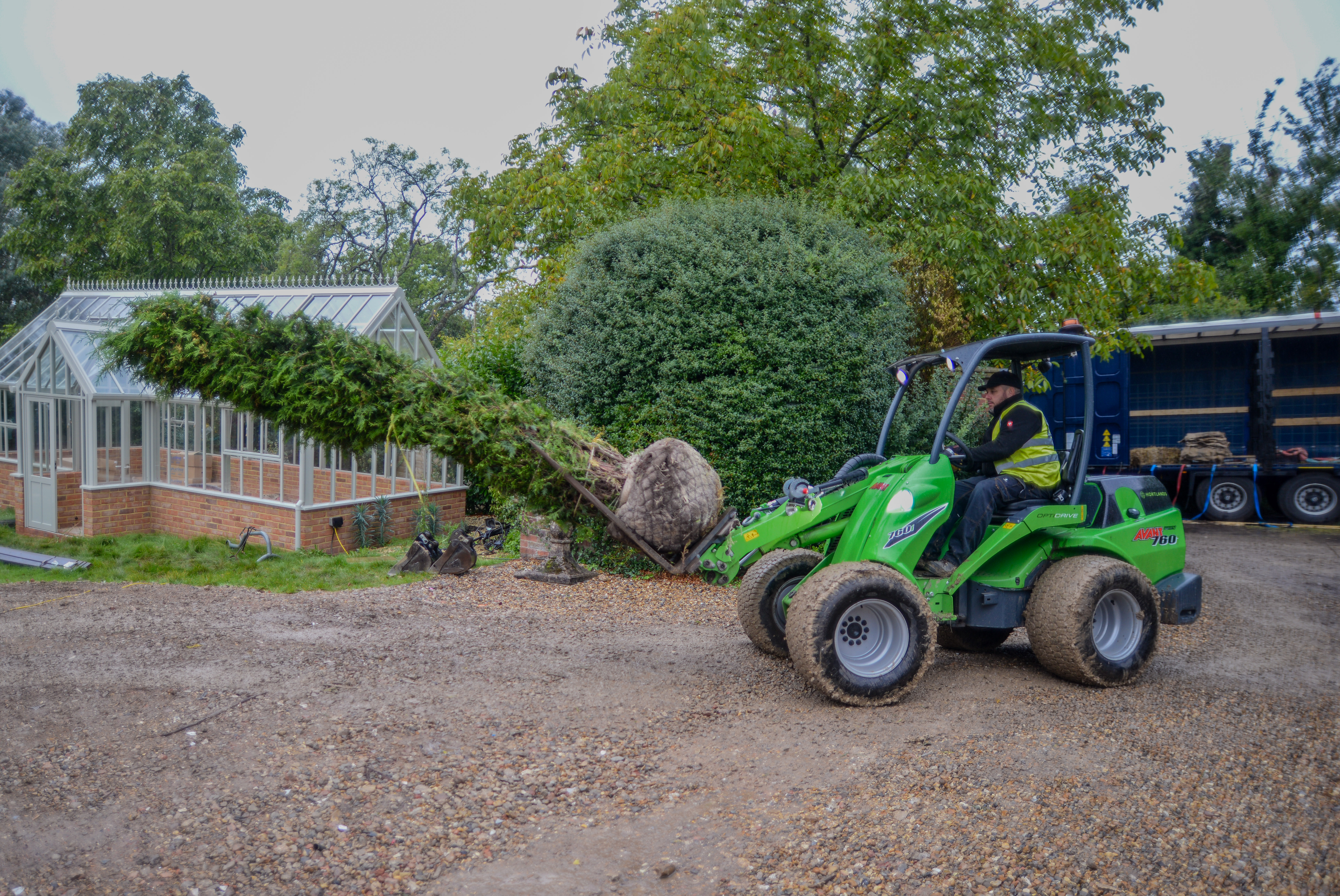 Large Tree and Instant Hedge Planting Berkshire