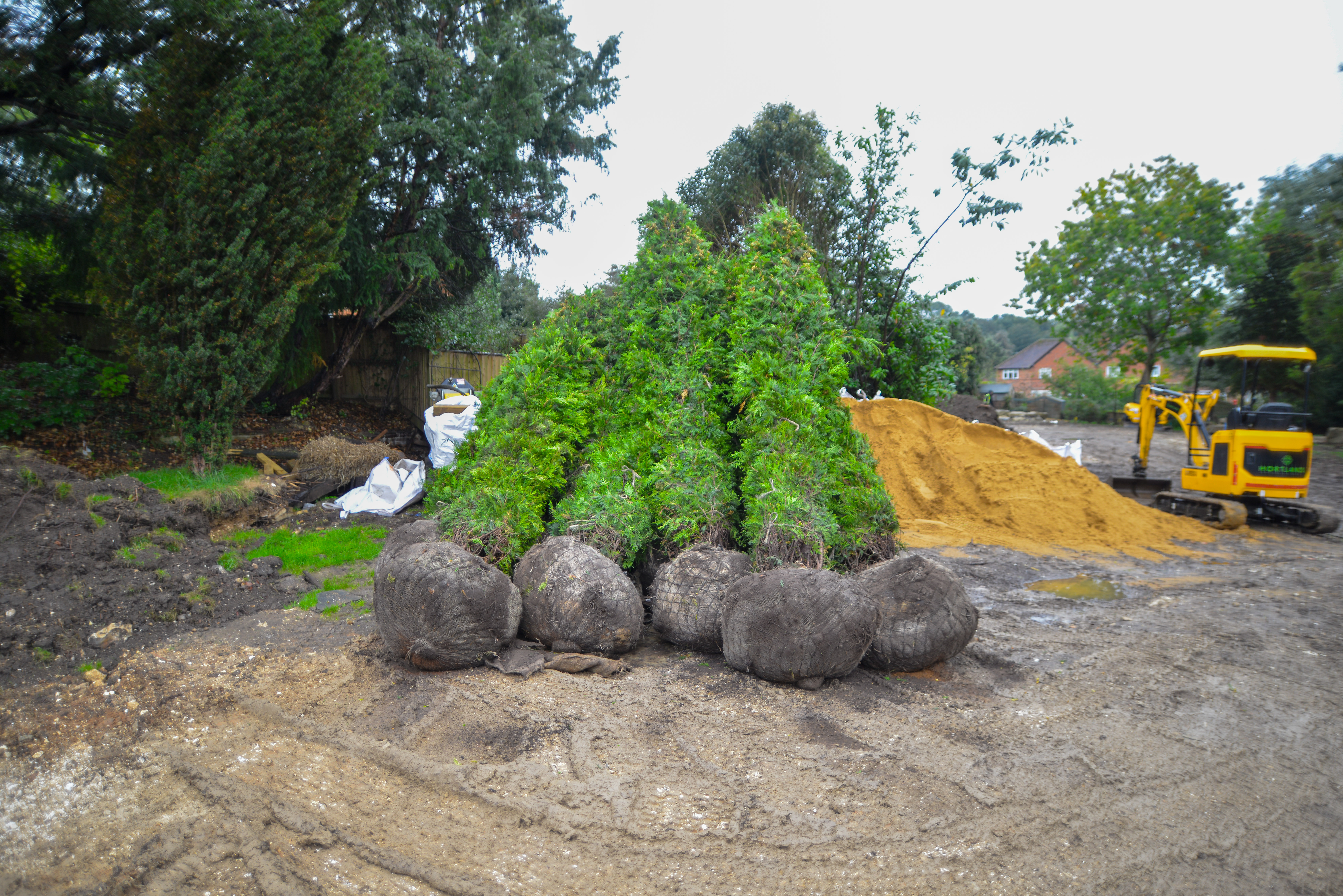 Large Tree and Instant Hedge Planting Berkshire