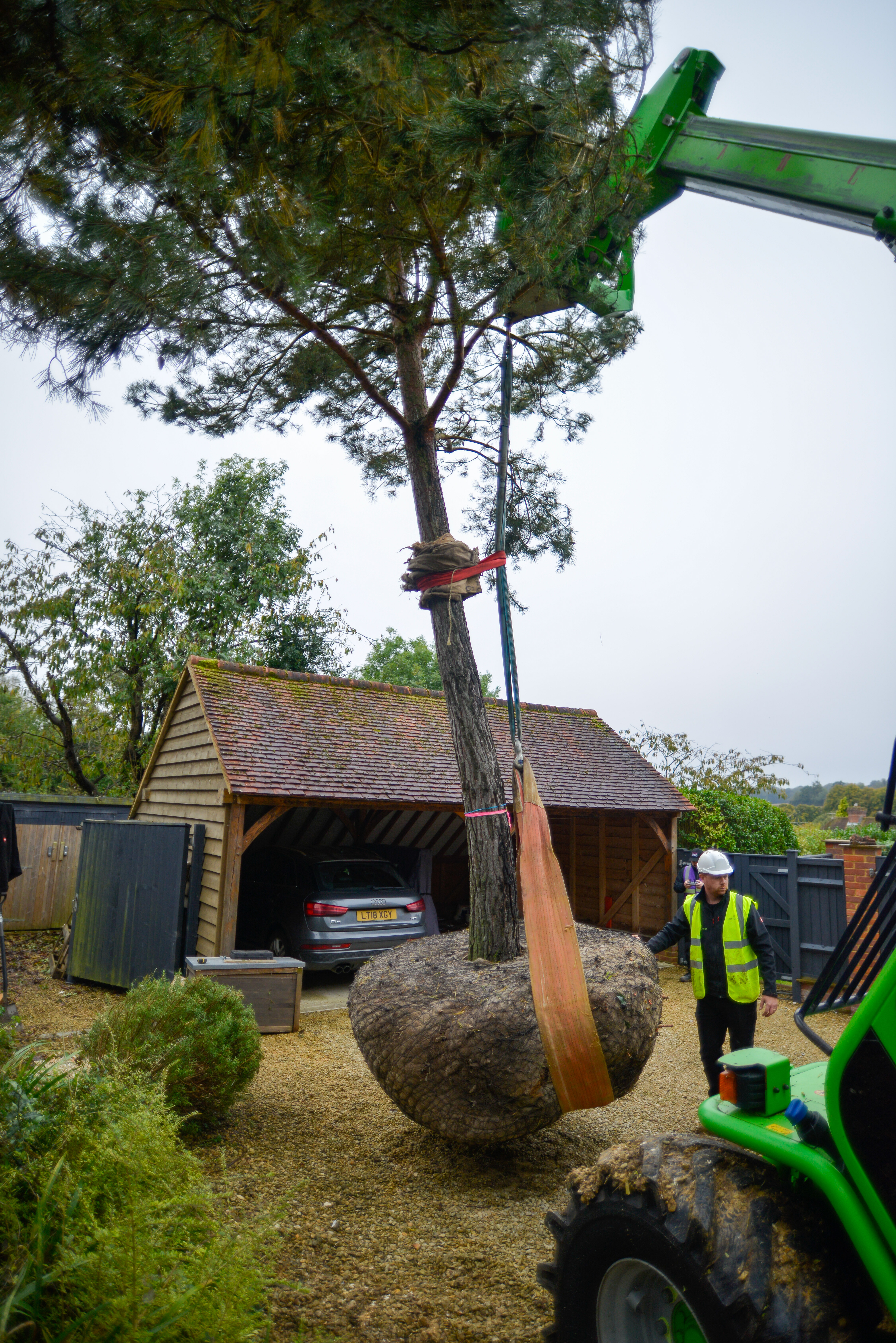 Large Tree and Instant Hedge Planting Berkshire