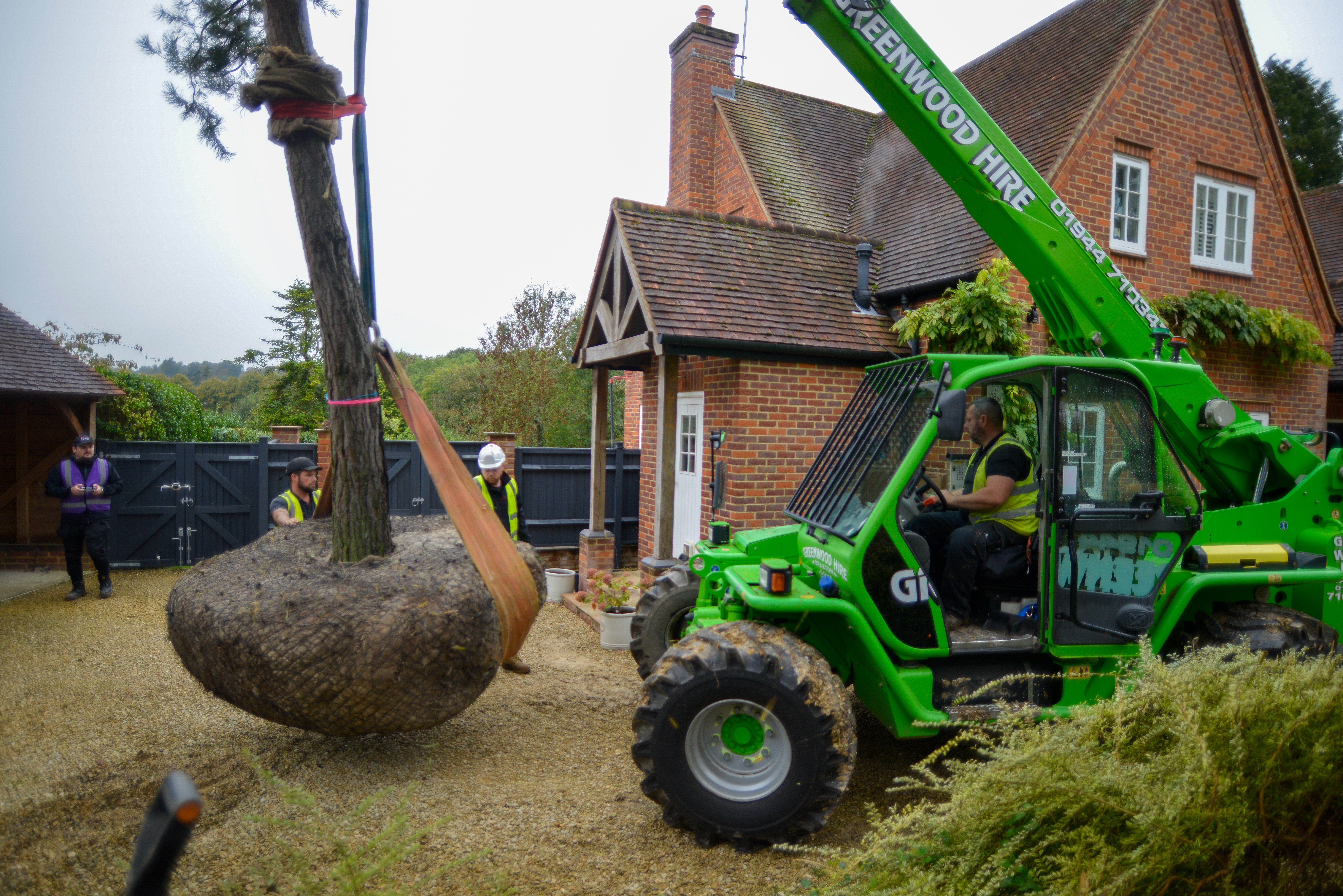 Large Tree and Instant Hedge Planting Berkshire