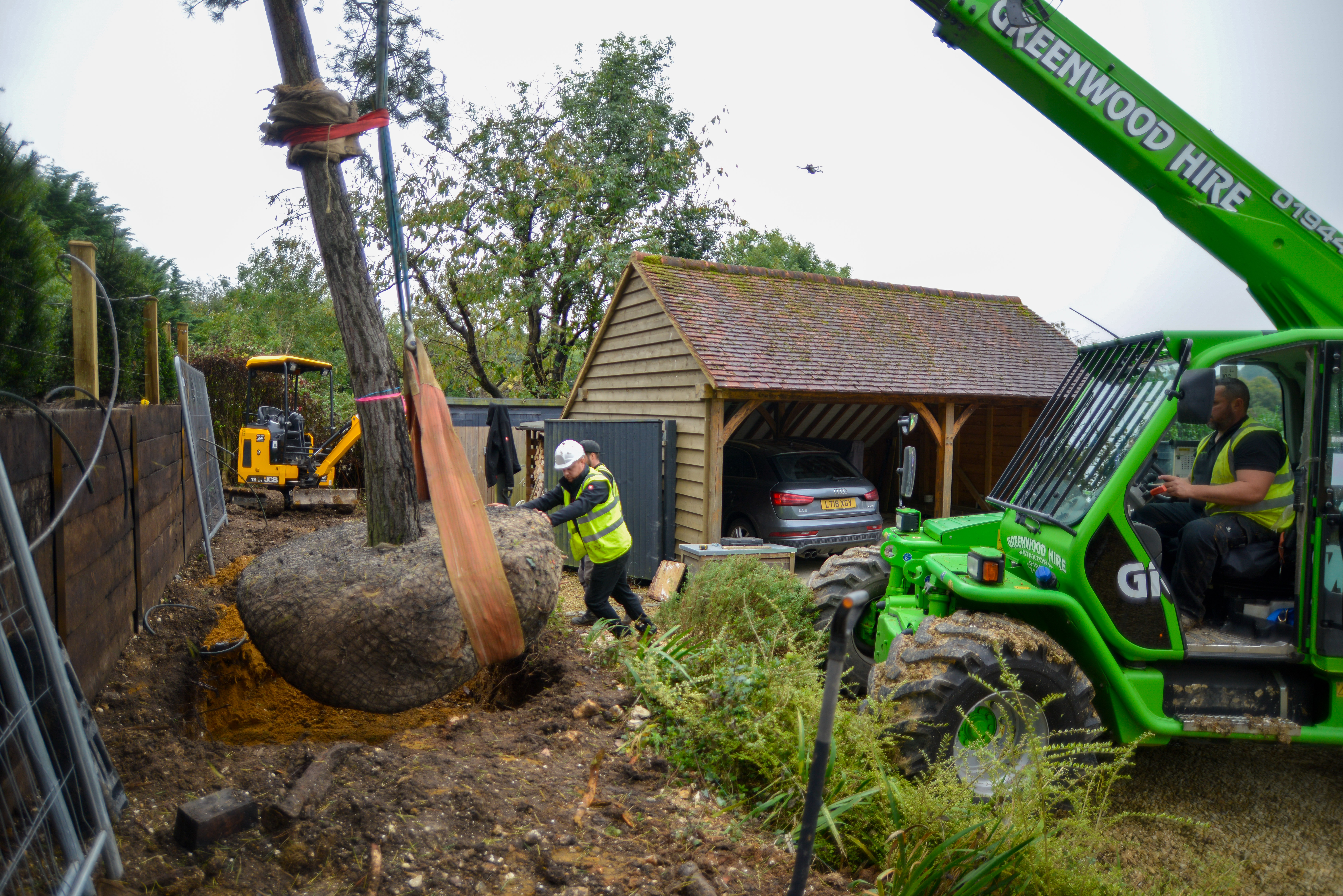 Large Tree and Instant Hedge Planting Berkshire