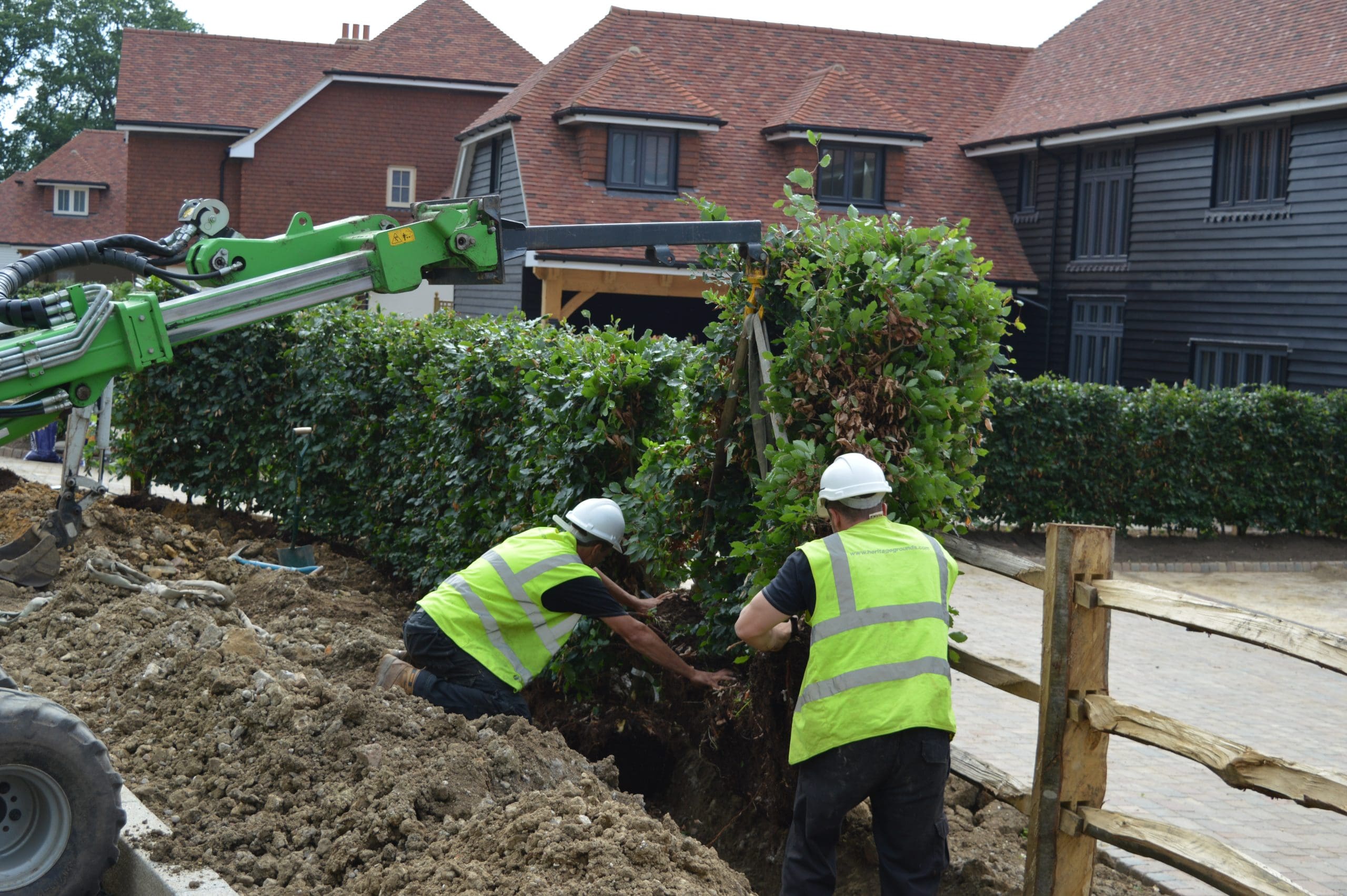Hedge Planting Services