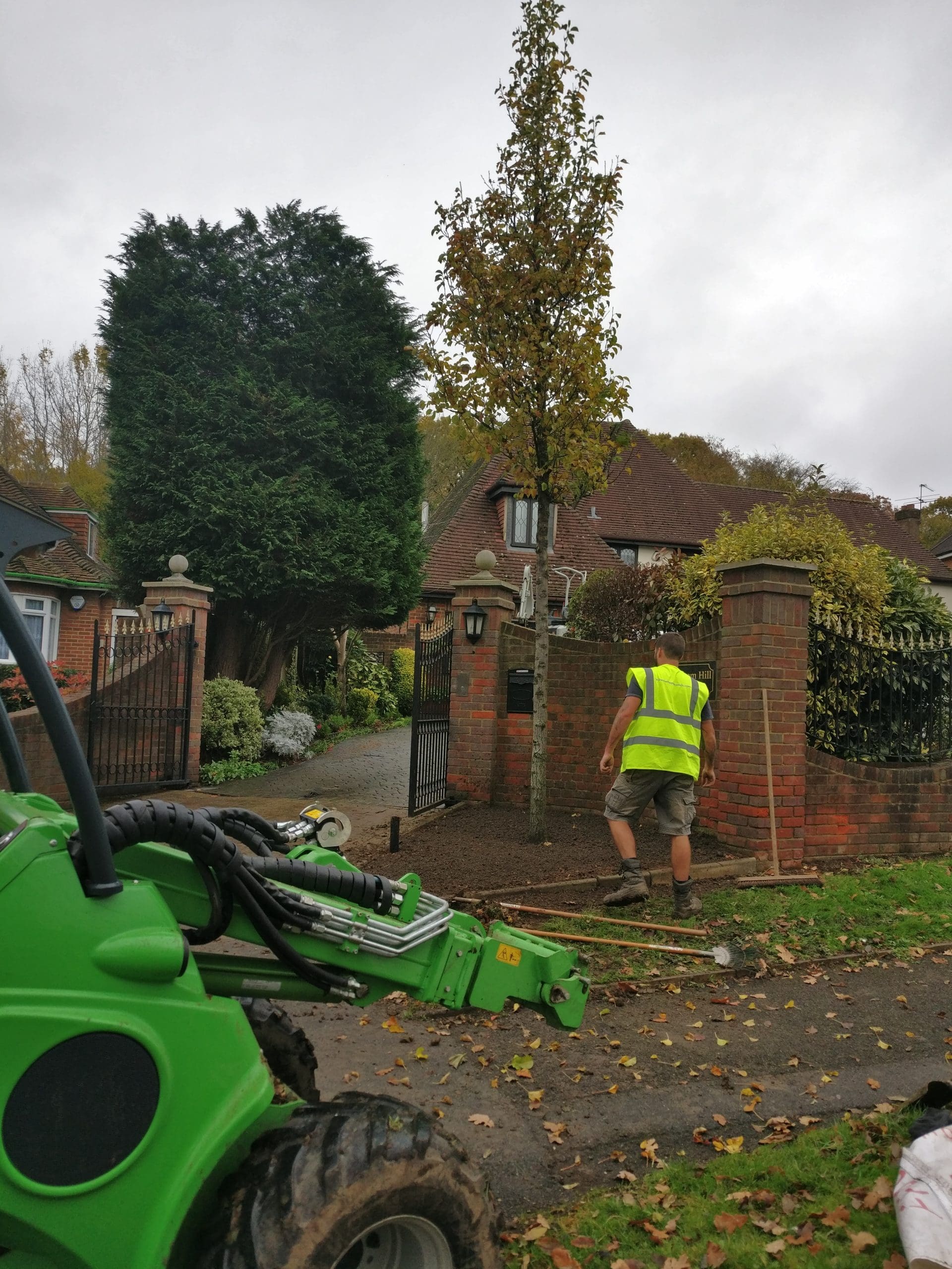 Tree Replacement, Ruislip, Middlesex