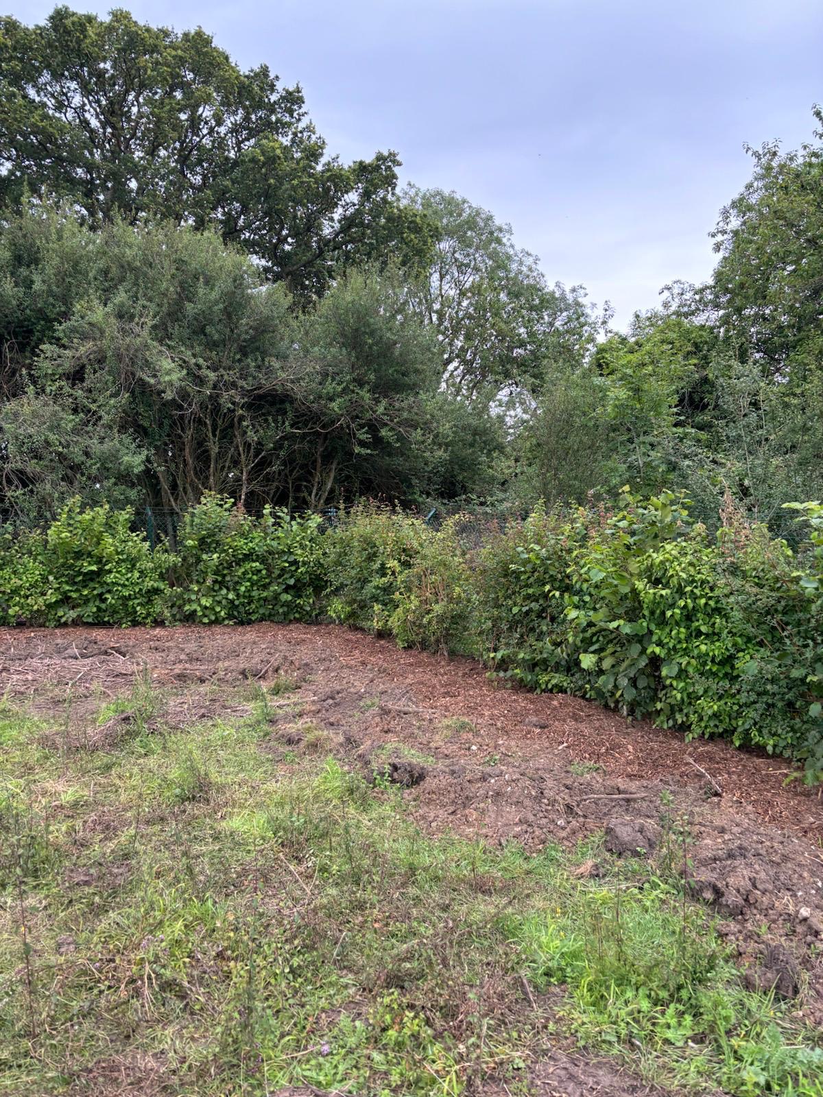 Mixed Native Instant Hedge Marlow