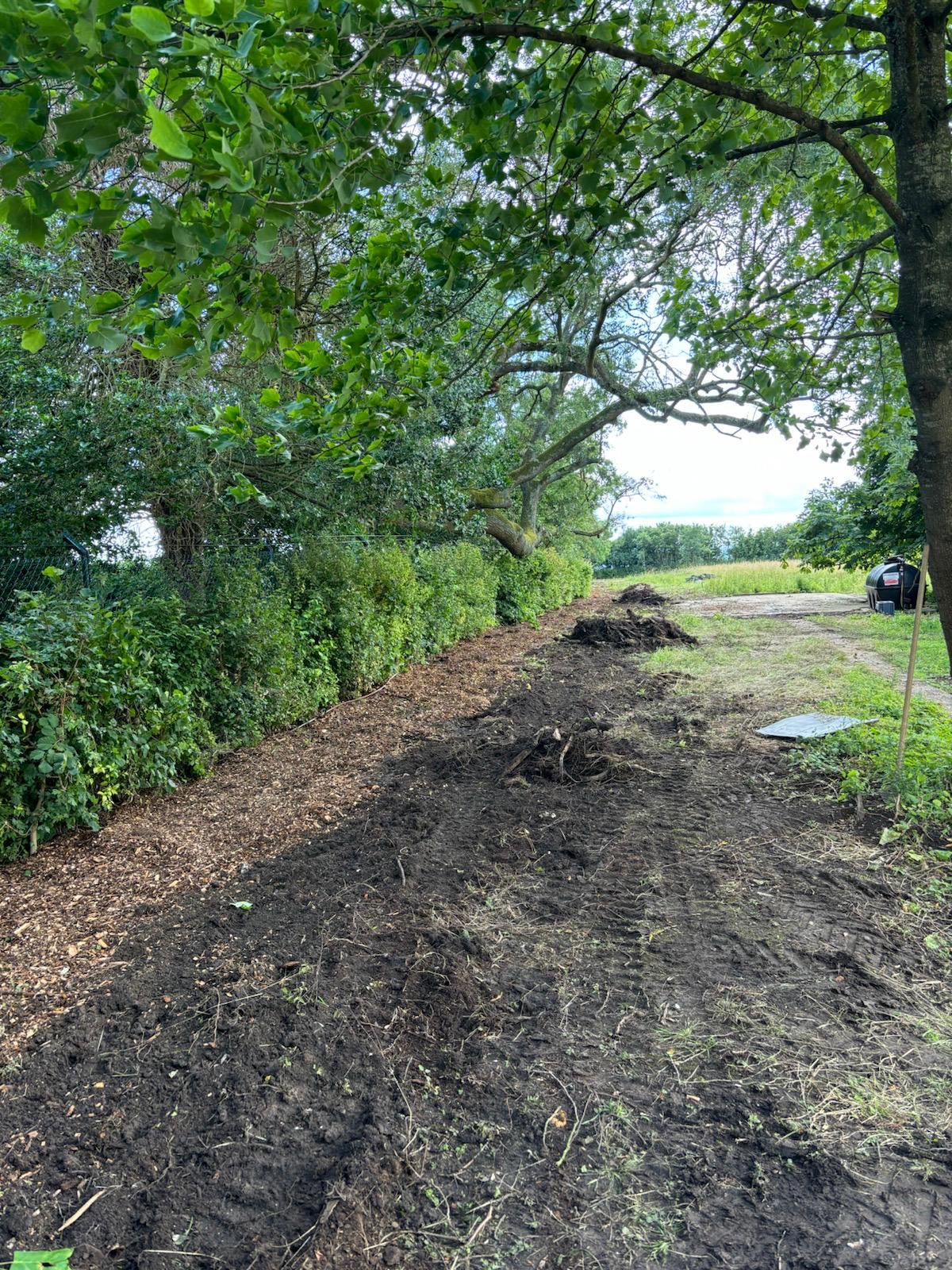 Mixed Native Instant Hedge Marlow