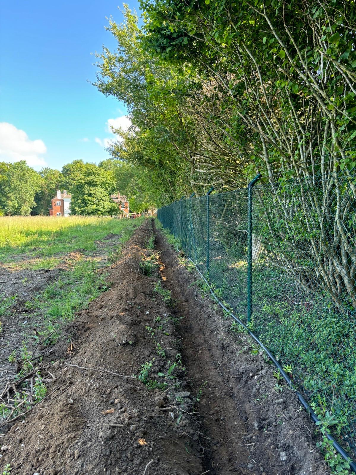 Mixed Native Instant Hedge Marlow