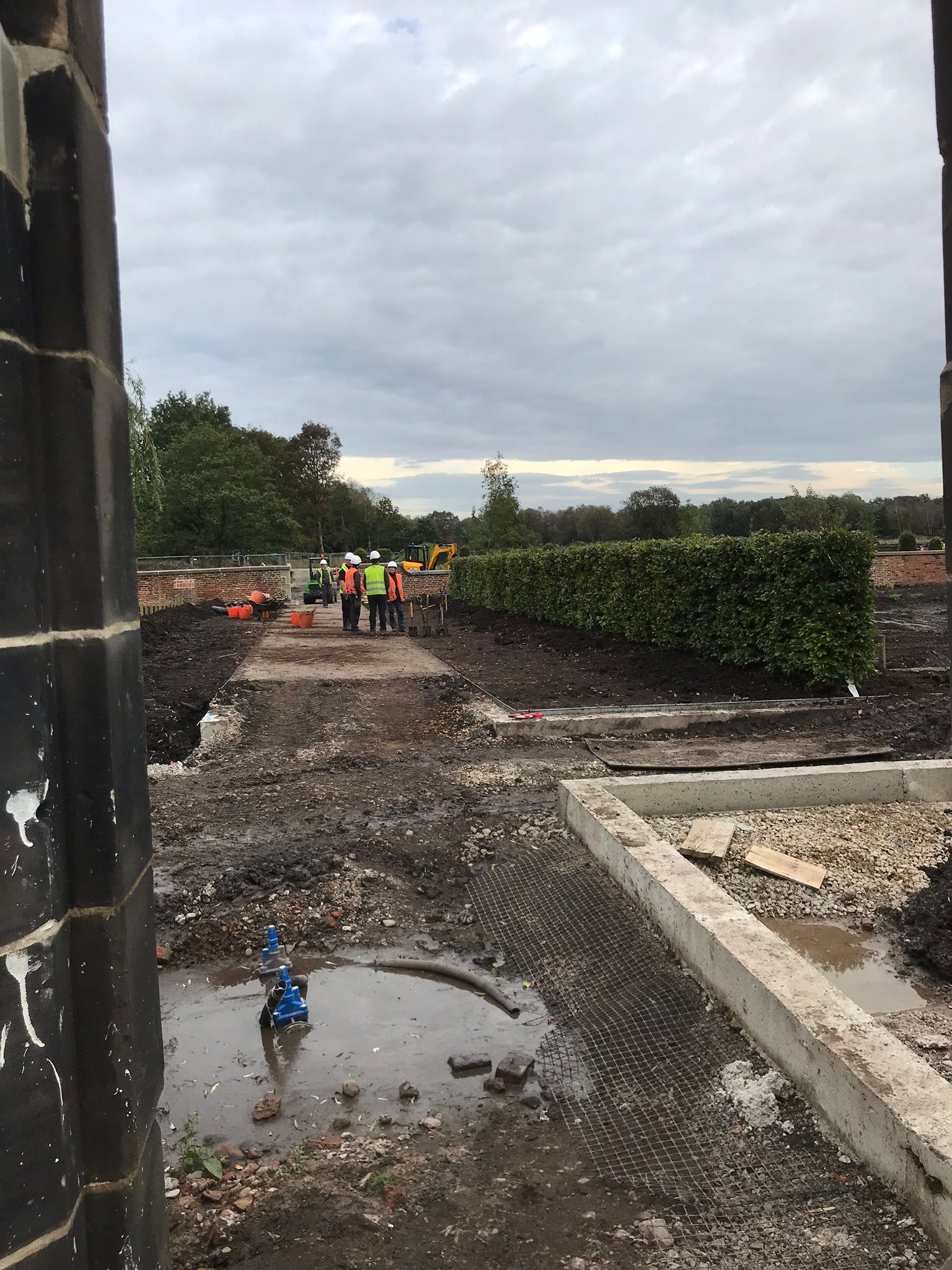 Beech Hedge Planting, RHS Bridgewater, Manchester