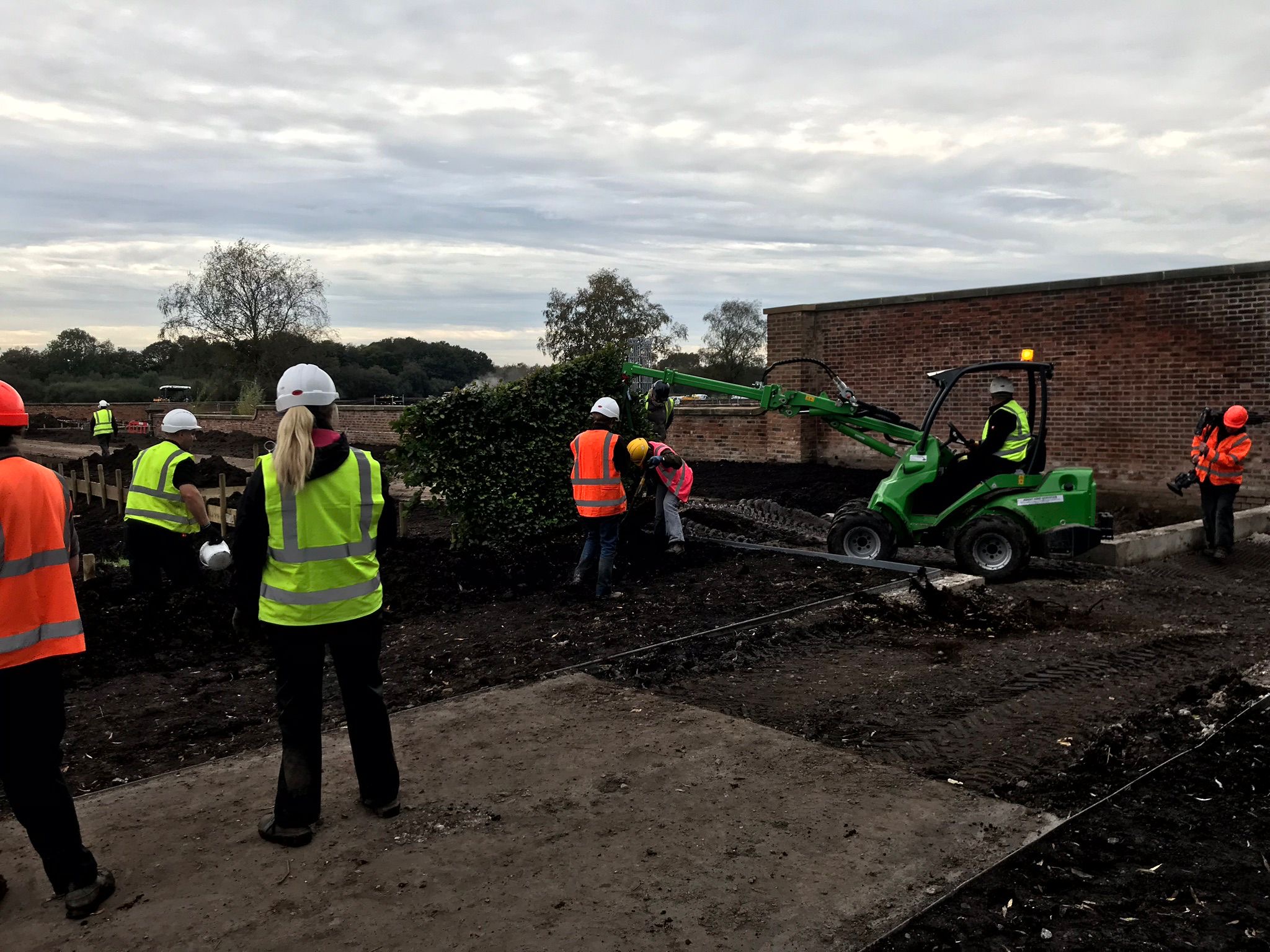 Beech Hedge Planting, RHS Bridgewater, Manchester