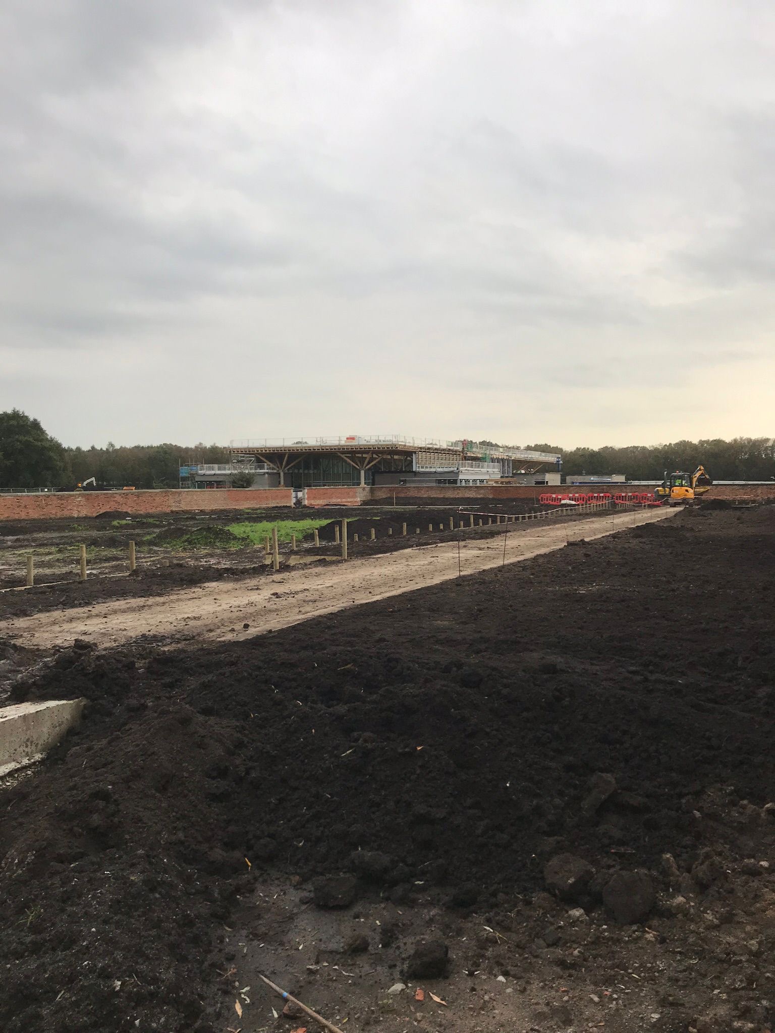 Beech Hedge Planting, RHS Bridgewater, Manchester