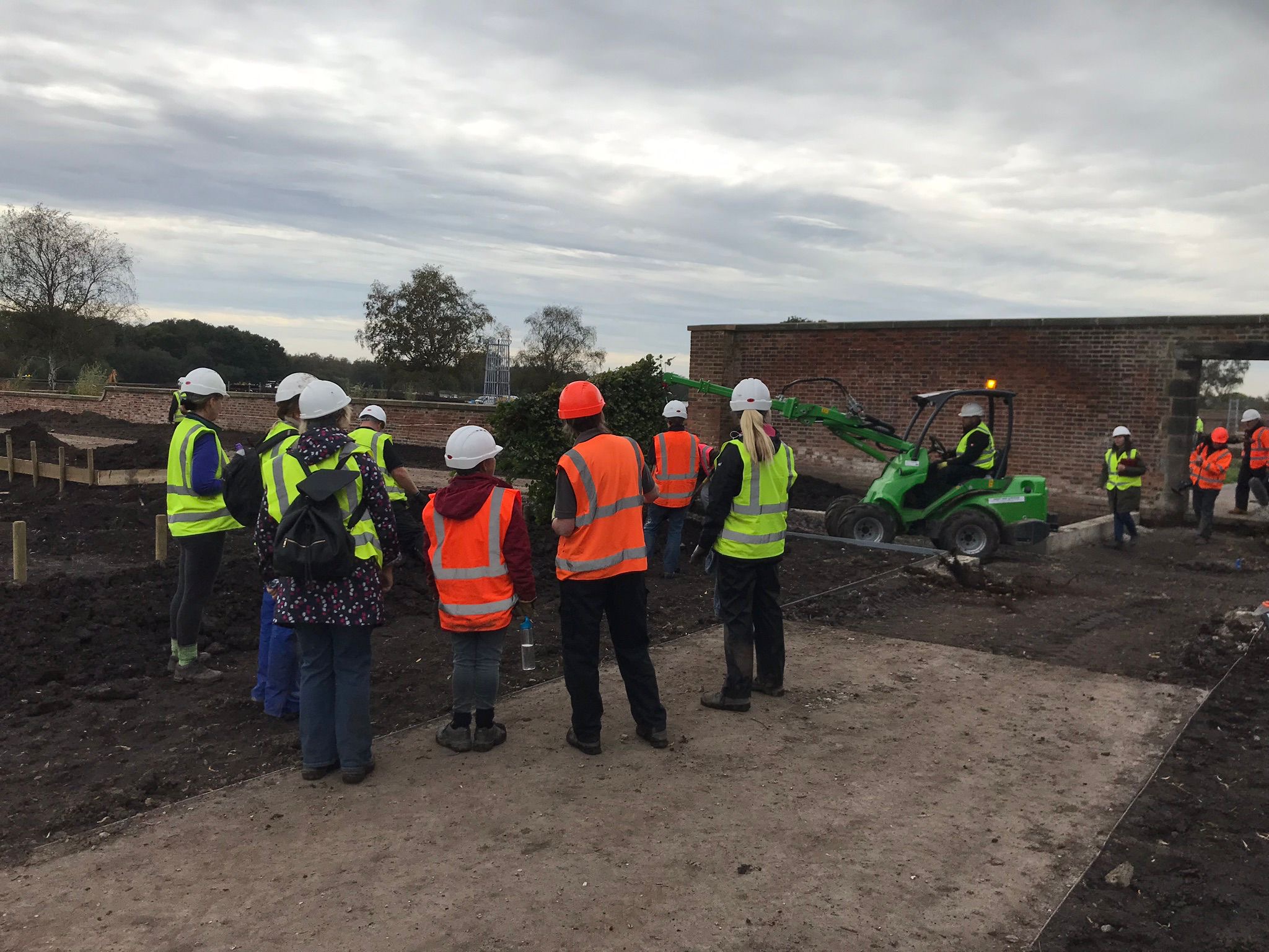 Beech Hedge Planting, RHS Bridgewater, Manchester