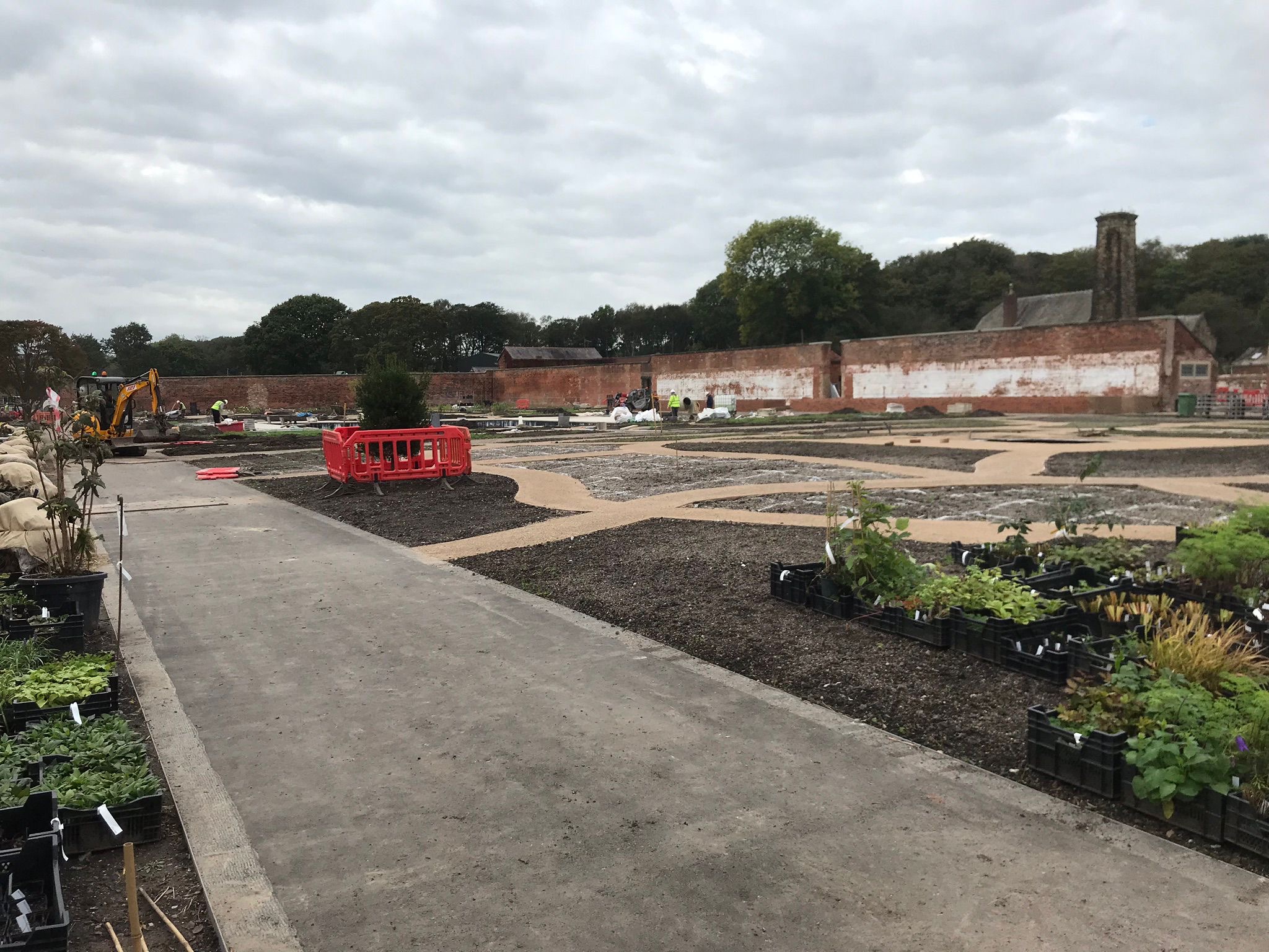 Beech Hedge Planting, RHS Bridgewater, Manchester