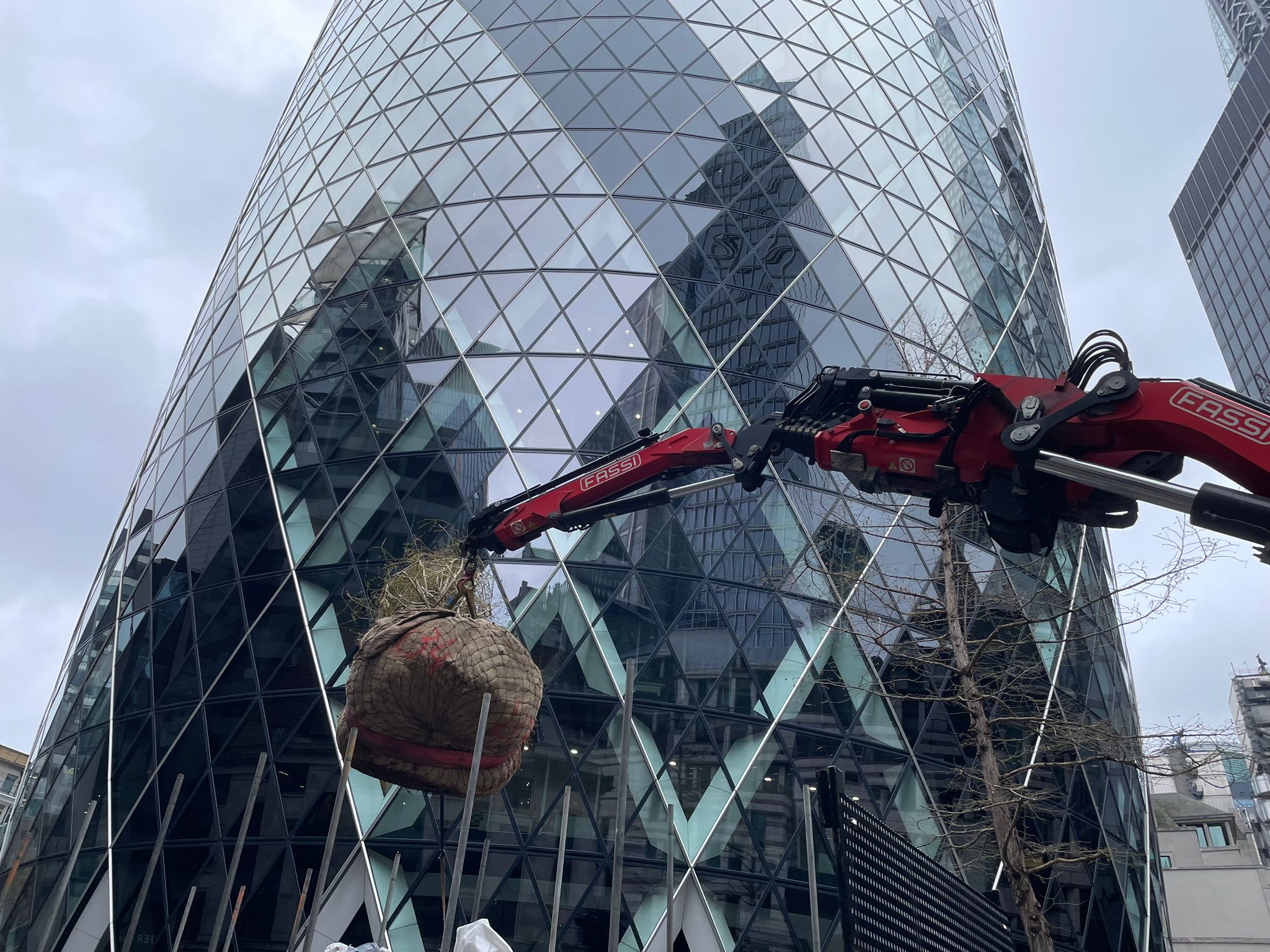 Tree Planting, Rejuvenating and Irrigation at The Gherkin, London