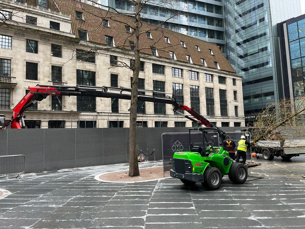 Tree Planting, Rejuvenating and Irrigation at The Gherkin, London