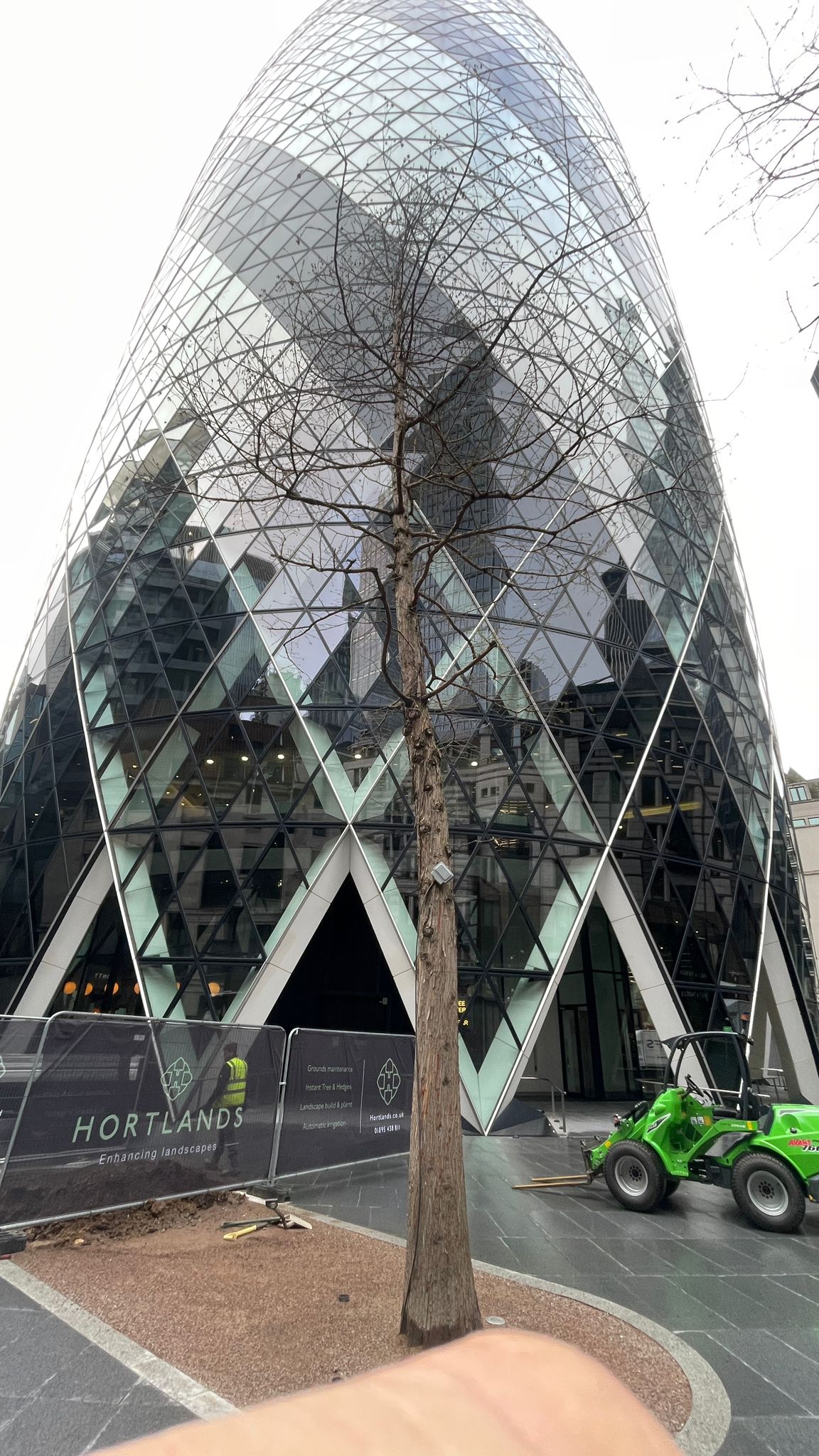 Tree Planting, Rejuvenating and Irrigation at The Gherkin, London