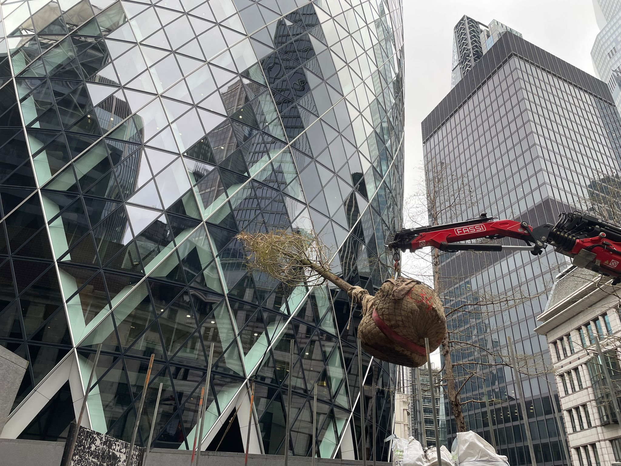 Tree Planting, Rejuvenating and Irrigation at The Gherkin, London