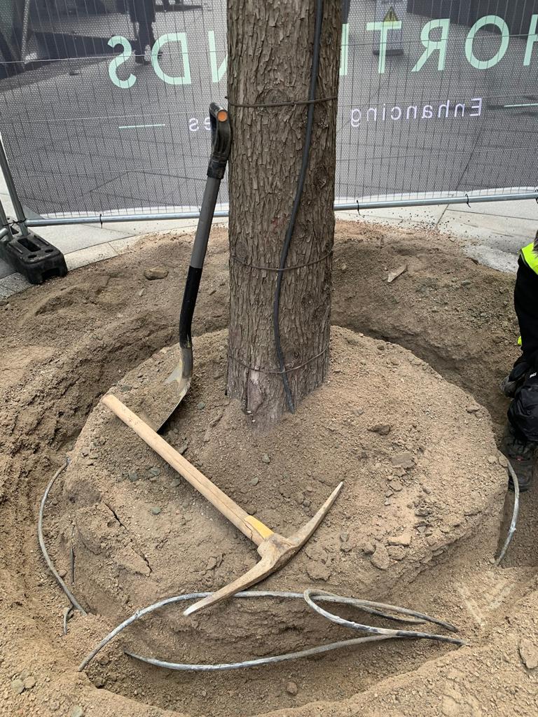 Tree Planting, Rejuvenating and Irrigation at The Gherkin, London