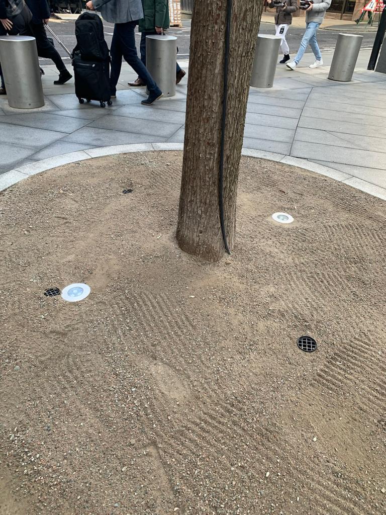 Tree Planting, Rejuvenating and Irrigation at The Gherkin, London