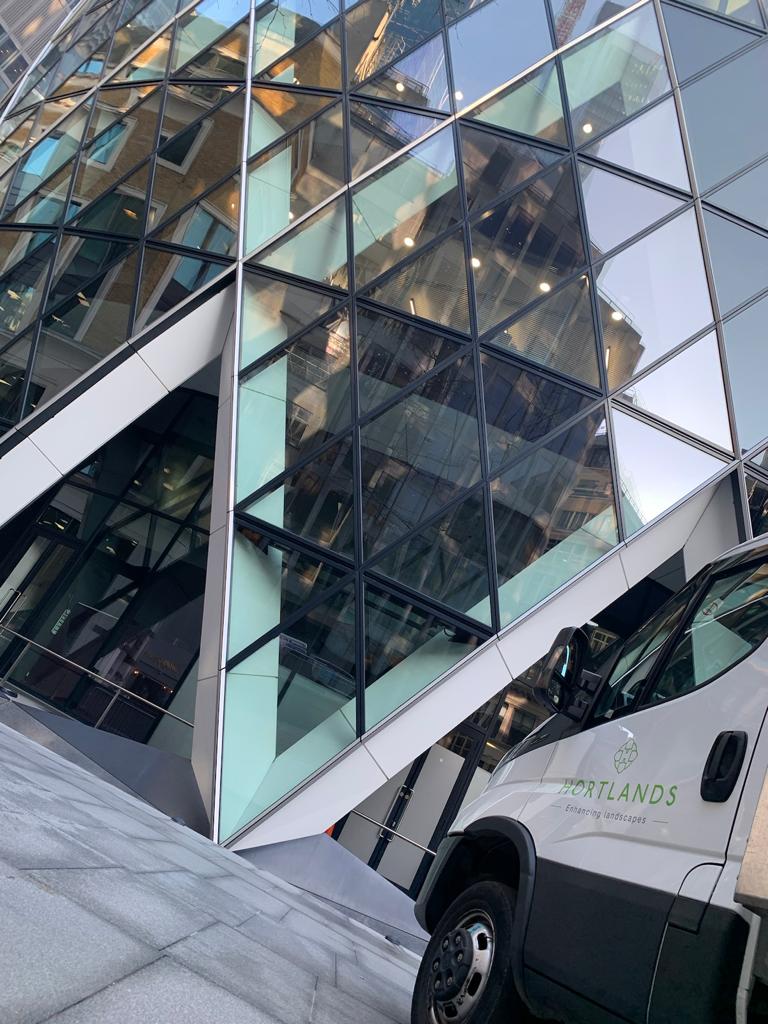 Tree Planting, Rejuvenating and Irrigation at The Gherkin, London