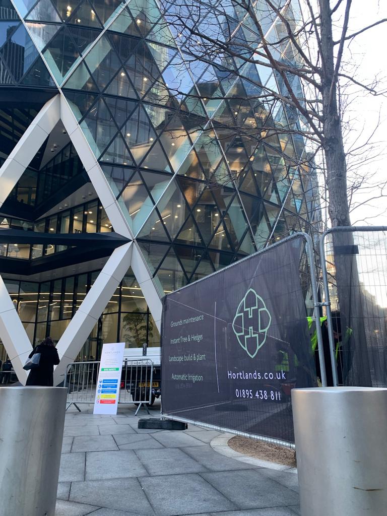 Tree Planting, Rejuvenating and Irrigation at The Gherkin, London