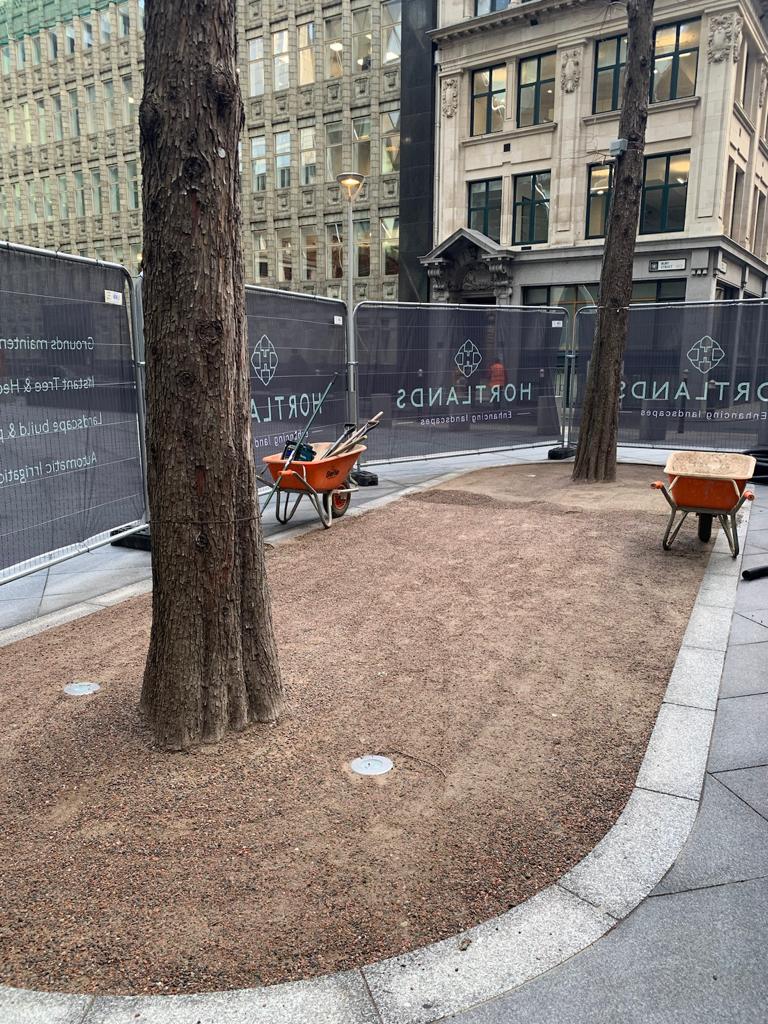 Tree Planting, Rejuvenating and Irrigation at The Gherkin, London