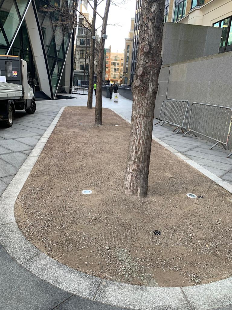 Tree Planting, Rejuvenating and Irrigation at The Gherkin, London