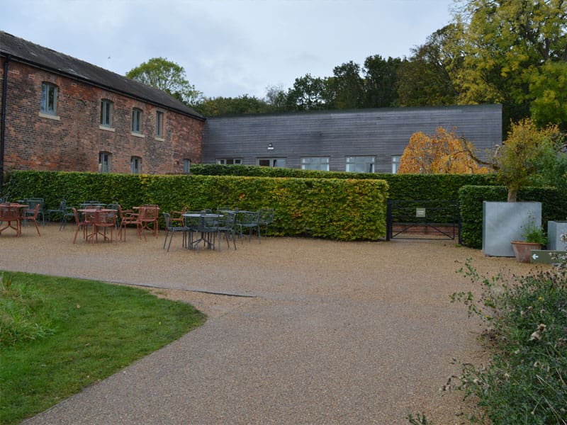 Beech Instant Hedge Planting