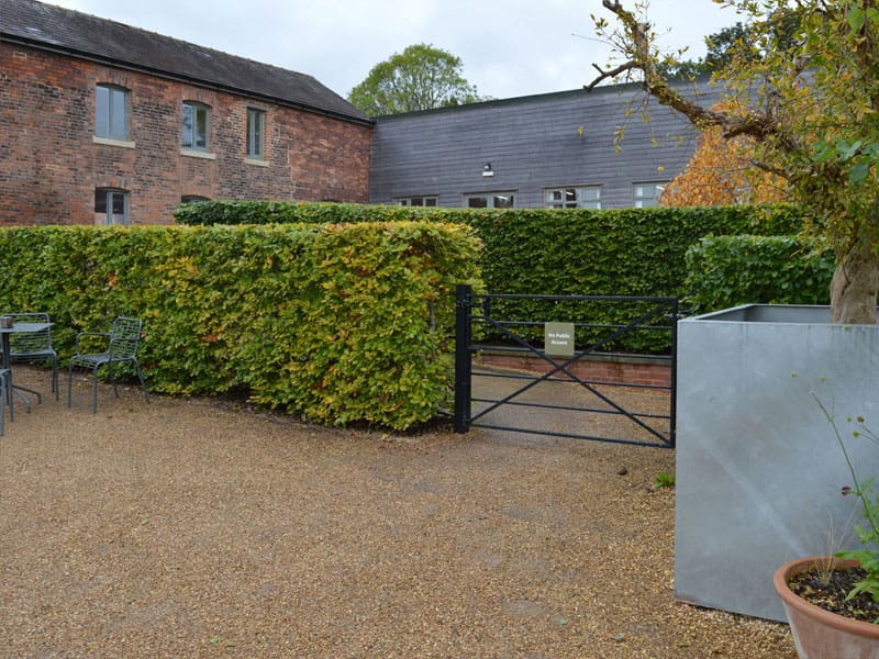 Beech Instant Hedge Planting