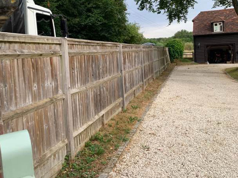 Cherry Laurel Instant Hedge Installation