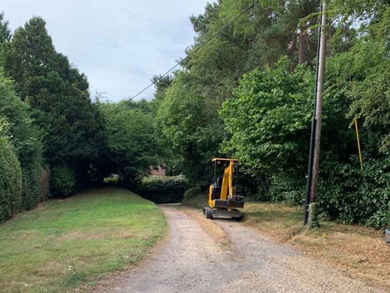 Cherry Laurel Instant Hedge Installation