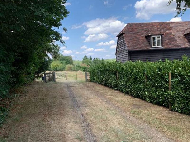 Cherry Laurel Instant Hedge Installation