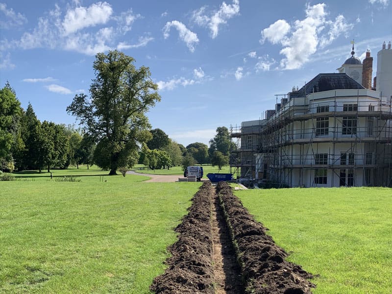 English Yew Instant Hedge Planting