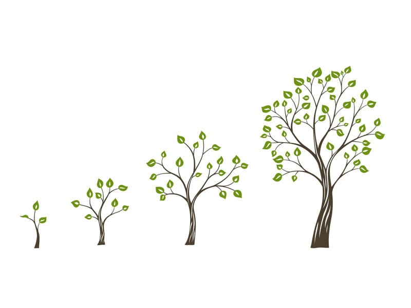 Annual Growth Rate