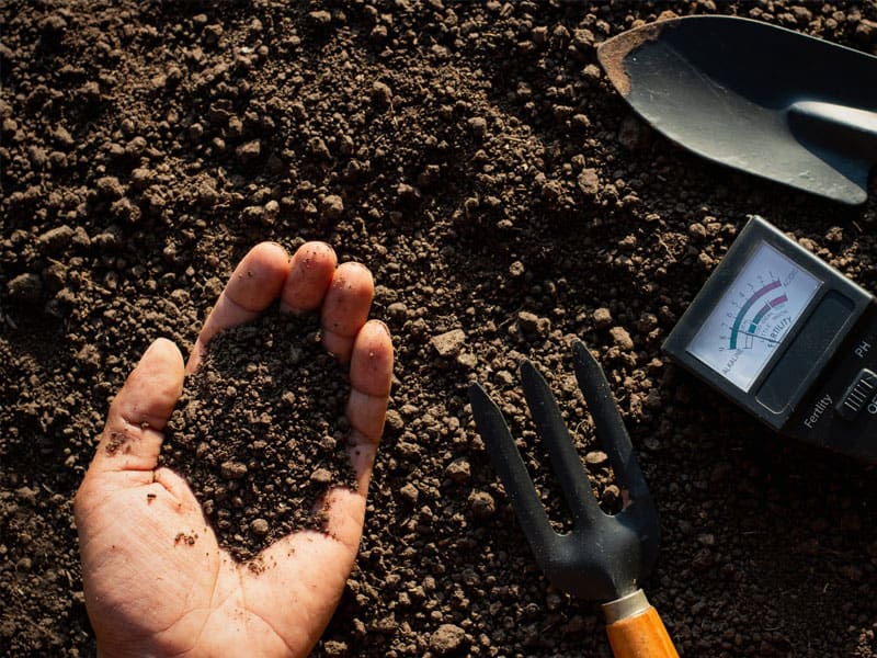 Soil pH