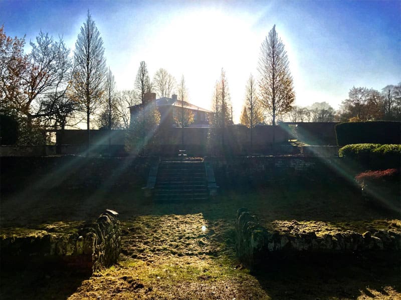 Shaded Gardens