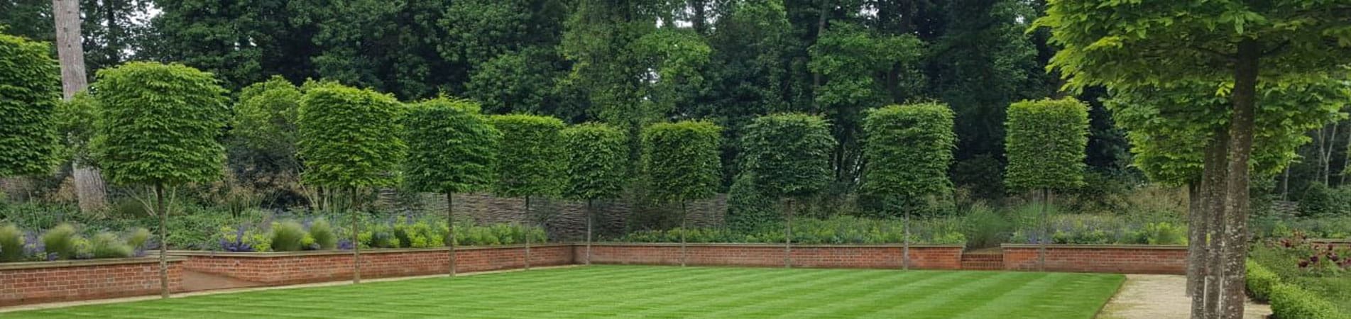 Premium Trees and Hedges