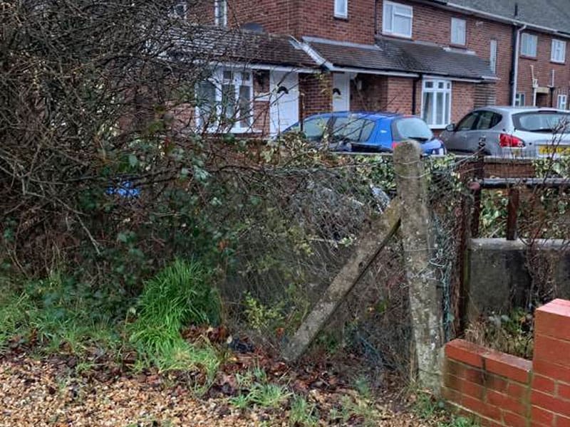 Driveway Boundary Instant Hedge