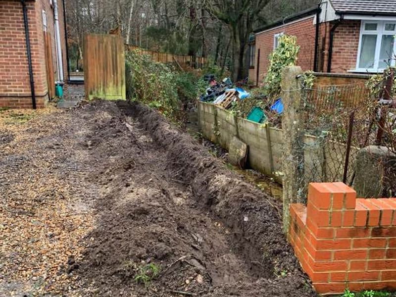 Driveway Boundary Instant Hedge