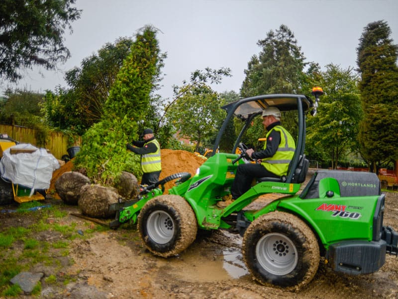 Large Tree Planting