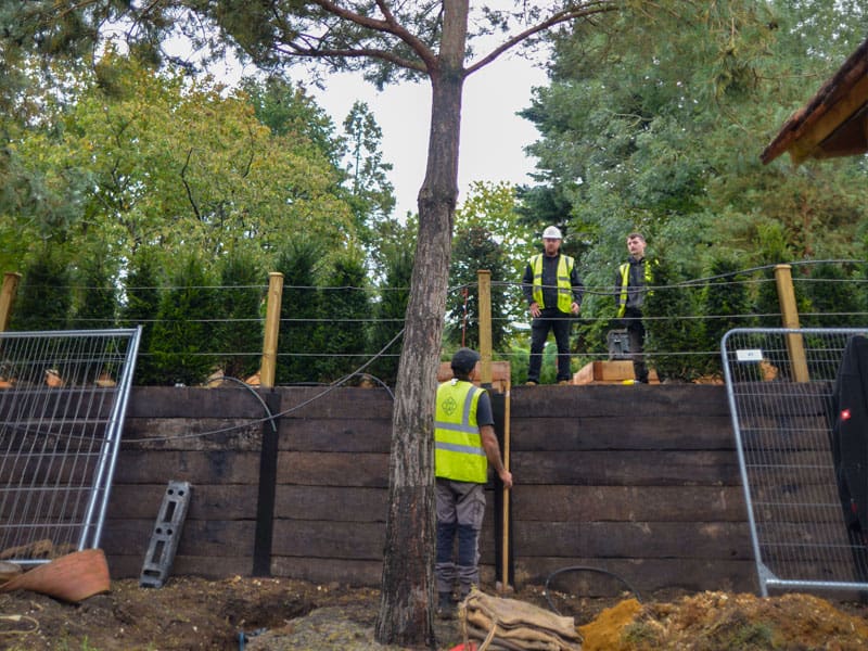 Large Tree Planting
