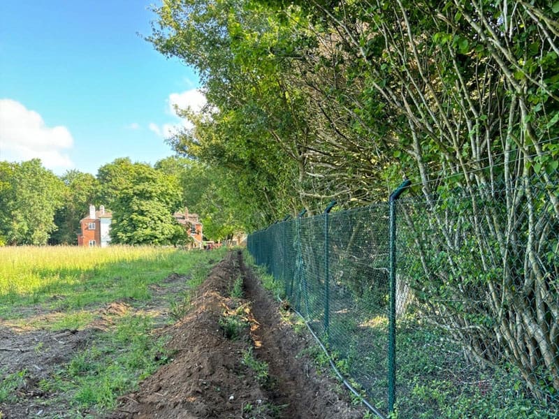 Mixed Native Instant Hedge Planting