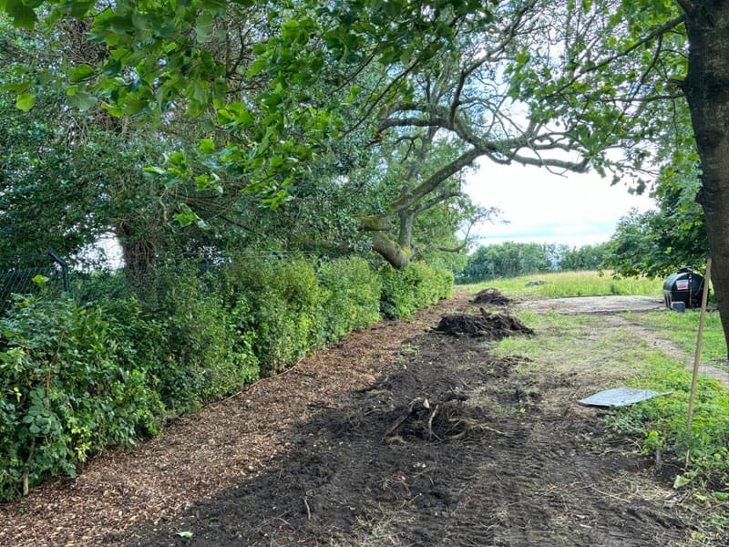 Mixed Native Instant Hedge Planting