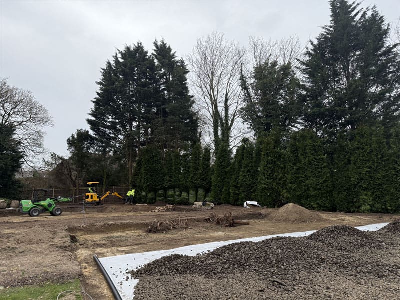 Evergreen Hedge Privacy Screen