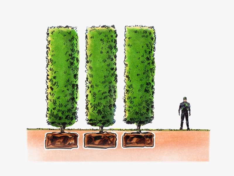 Hedging Types